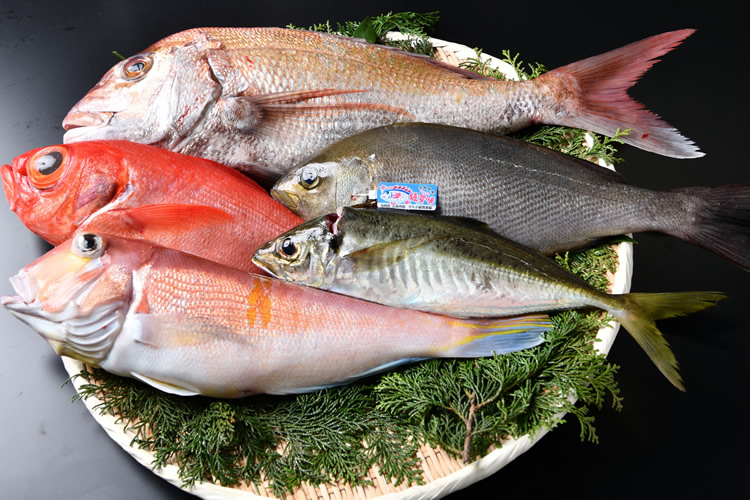 京都から全国へ 京都市中央市場厳選 おうちde京の食文化 市場厳選 天然魚セット2
